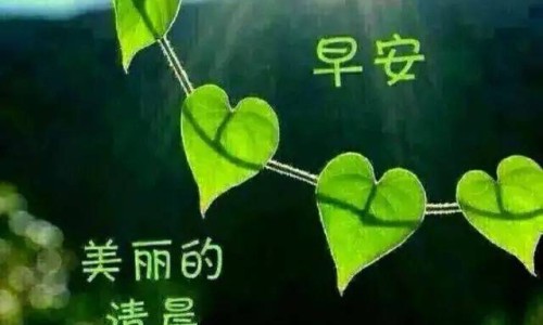 服装面料聚酯纤维好还是真丝好-真丝面料和聚酯纤维的区别-夏天衣服聚酯纤维和真丝的区别,中国真丝和聚酯纤维有什么区别网站